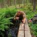 Hot hiking day - refreshing cold water